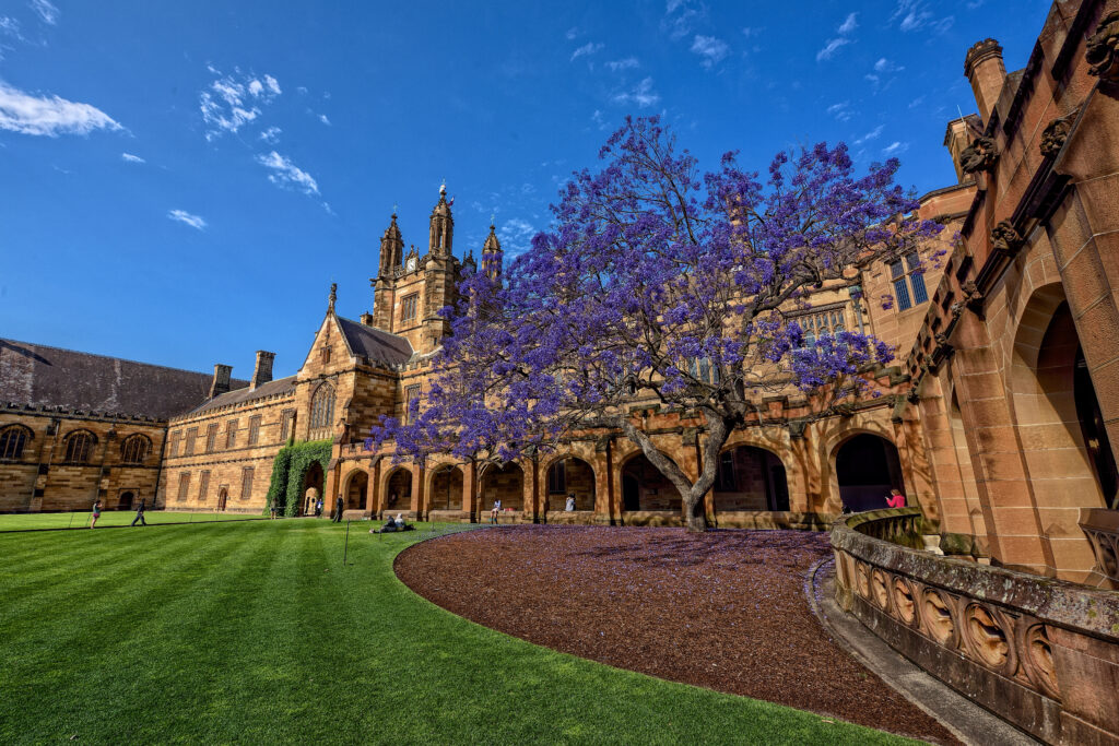 The University of Sydney Quadrangle, featuring green grass and purple Jacaranda tree